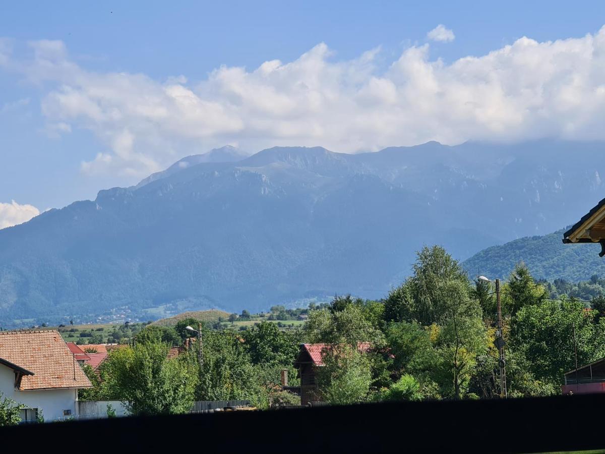 Maricom Home Zărneşti Eksteriør billede