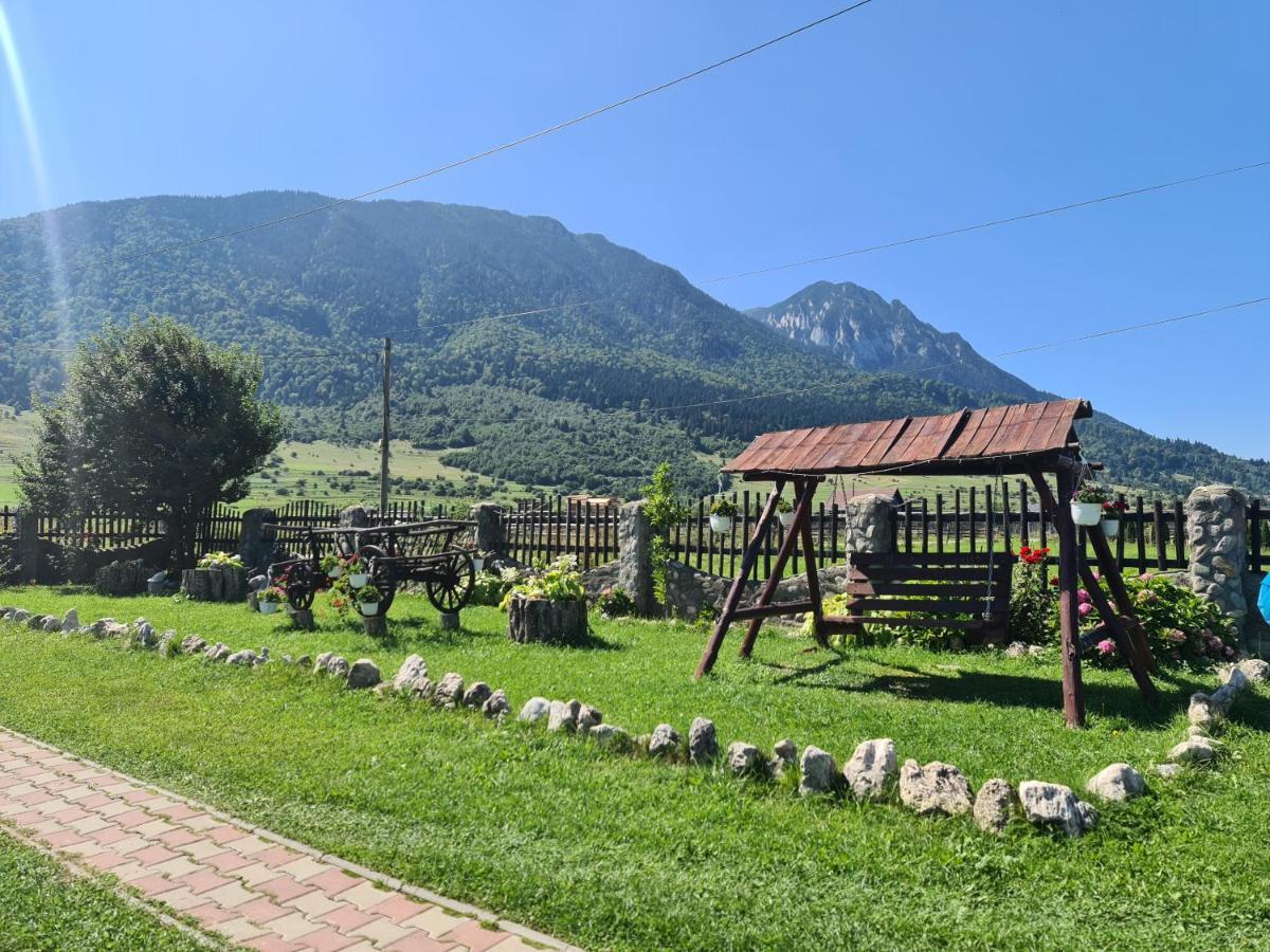 Maricom Home Zărneşti Eksteriør billede
